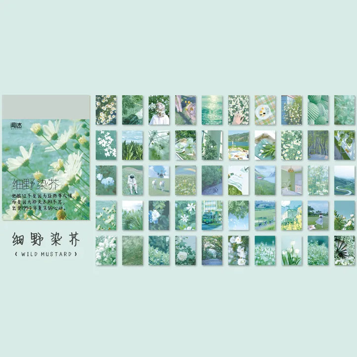366 Pcs/Natural Scenery Stationery Stickers Book