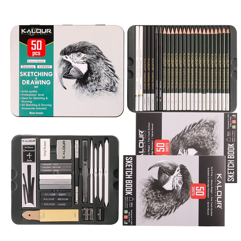 Professional 52-Piece Charcoal &amp; Sketching Pencil Set - Polendo Design charcoal sketching pencil set