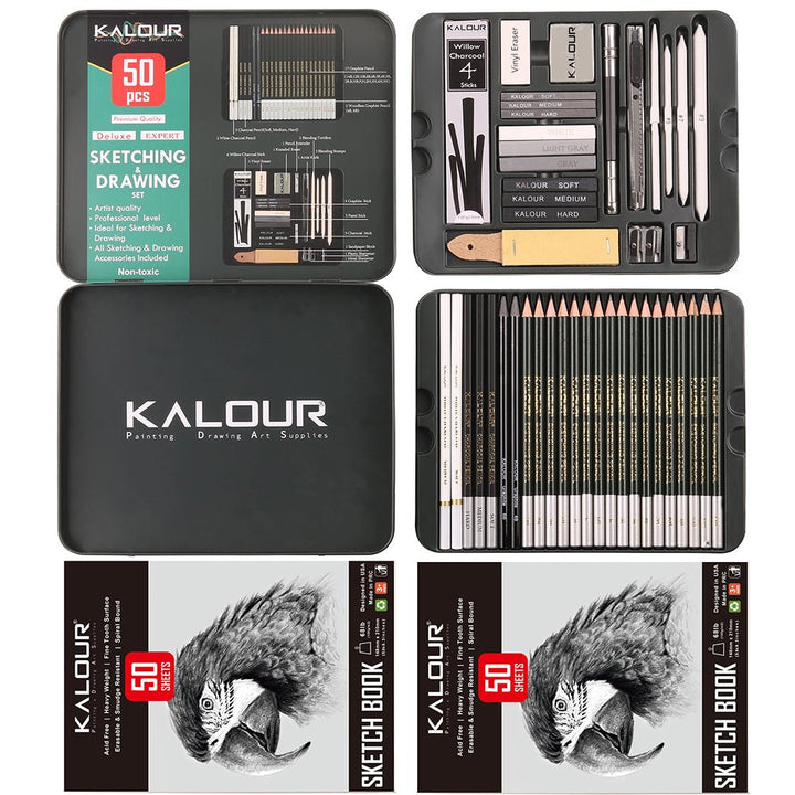 Professional 52-Piece Charcoal &amp; Sketching Pencil Set - Polendo Design charcoal sketching pencil set