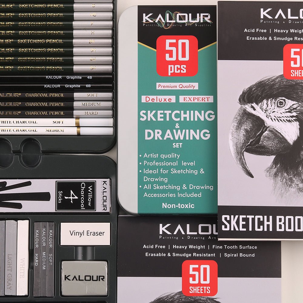 Professional 52-Piece Charcoal &amp; Sketching Pencil Set - Polendo Design charcoal sketching pencil set
