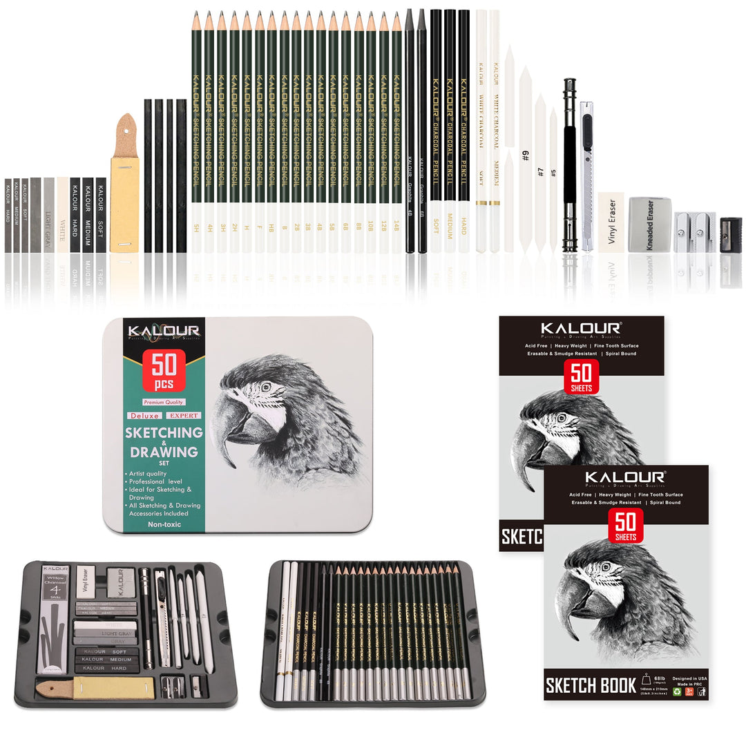 Professional 52-Piece Charcoal &amp; Sketching Pencil Set - Polendo Design charcoal sketching pencil set