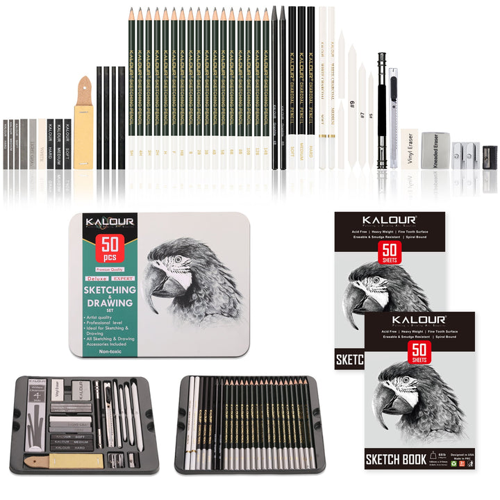 Professional 52-Piece Charcoal &amp; Sketching Pencil Set - Polendo Design charcoal sketching pencil set